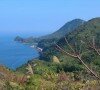 深圳大氣污染防治健康、穩(wěn)步發(fā)展